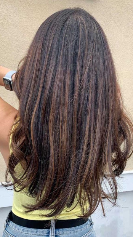 Best Fall Hair Color Ideas & Styles : Dark Chocolate with light Brown Highlights